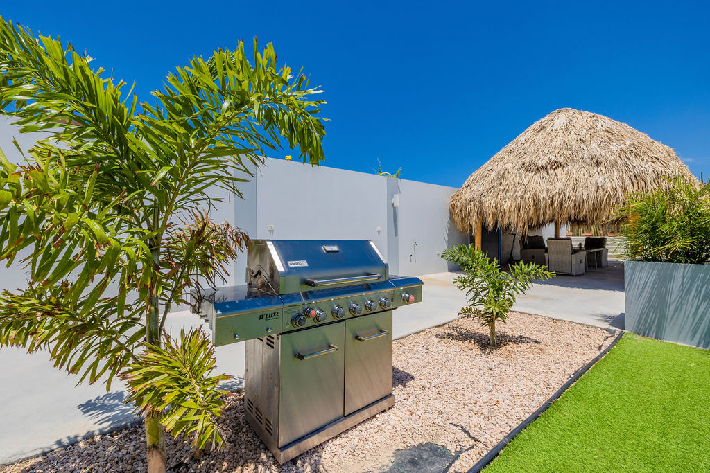 Luxurious Home in Picaron Aruba Brokers